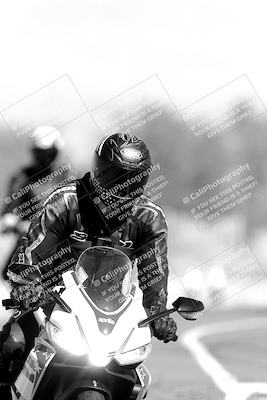 media/Nov-06-2023-Moto Forza (Mon) [[ce023d0744]]/4-Beginner Group/Session 3 (Track Exit)/